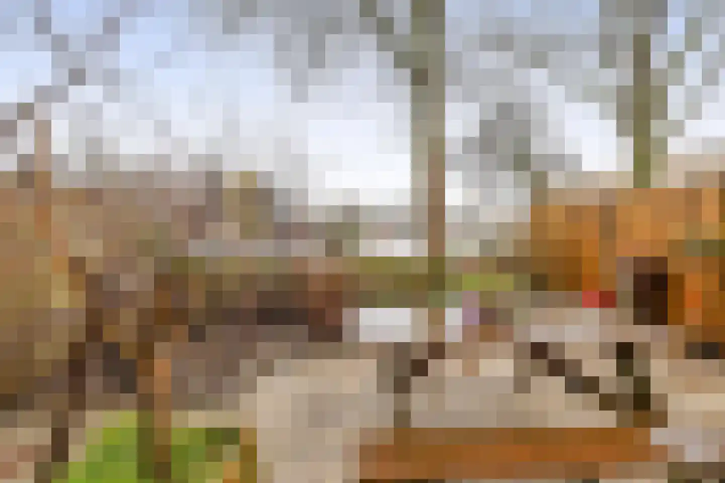 Hildebrandhove 30 Zoetermeer thumbnail 4