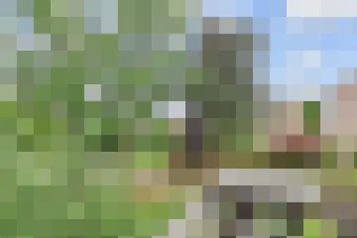 Hildebrandhove 31 Zoetermeer thumbnail 12