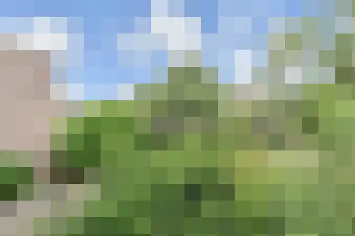 Hildebrandhove 31 Zoetermeer thumbnail 13
