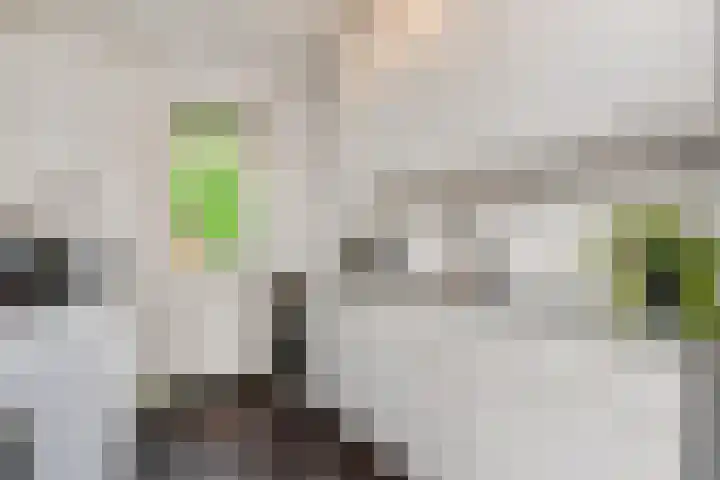 Hildebrandhove 31 Zoetermeer thumbnail 24