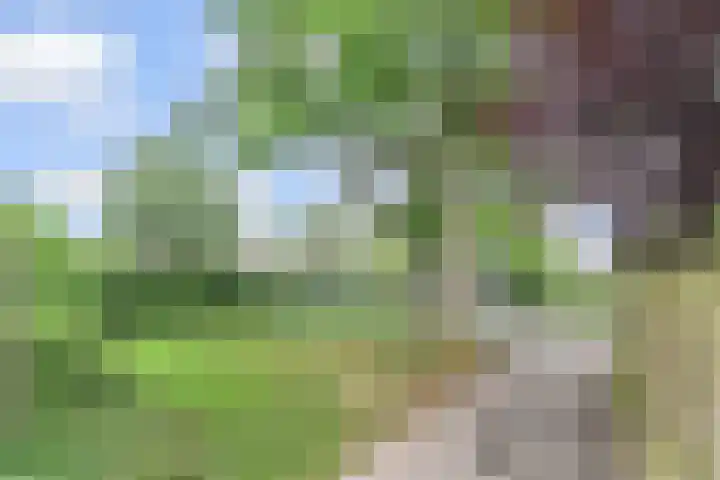 Hildebrandhove 31 Zoetermeer thumbnail 26