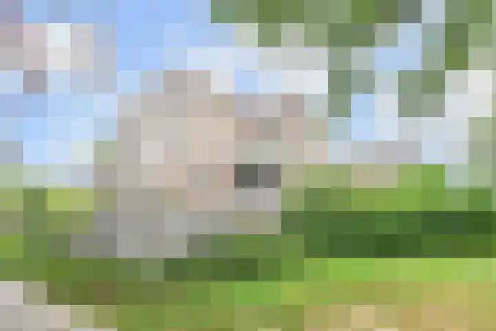 Hildebrandhove 31 Zoetermeer thumbnail 4