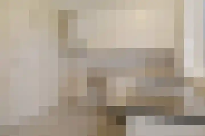 Hildebrandhove 52 Zoetermeer thumbnail 12