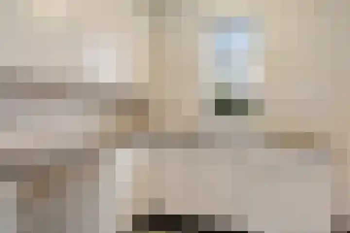 Hildebrandhove 52 Zoetermeer thumbnail 13