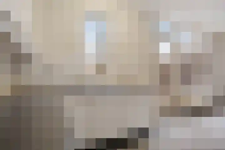 Hildebrandhove 52 Zoetermeer thumbnail 14