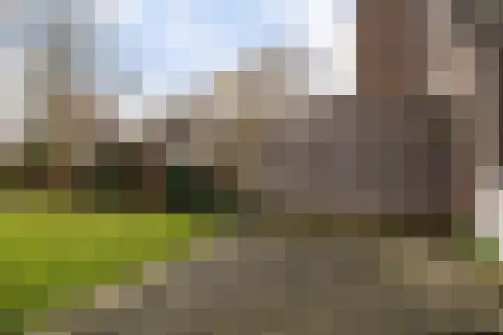 Hildebrandhove 52 Zoetermeer thumbnail 17