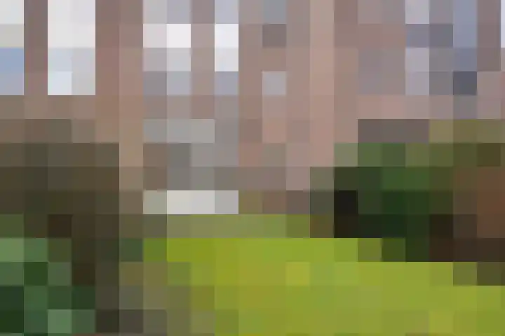 Hildebrandhove 52 Zoetermeer thumbnail 18