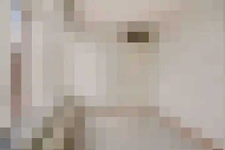 Hildebrandhove 52 Zoetermeer thumbnail 31