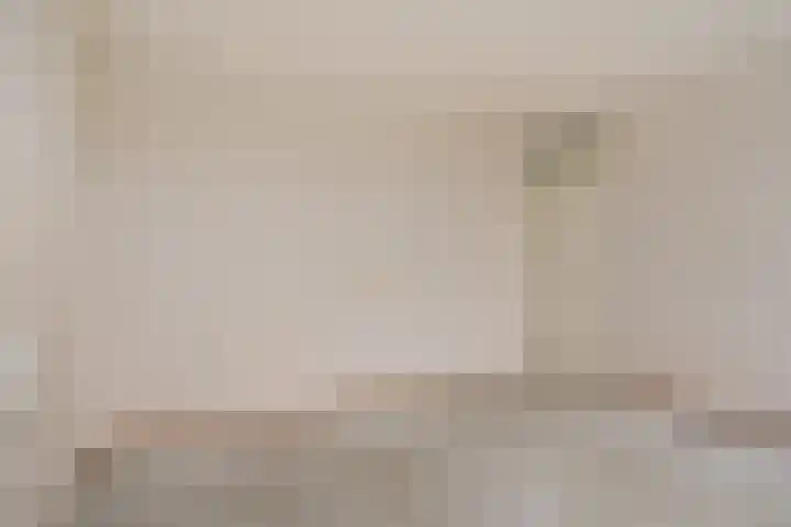 Hildebrandhove 52 Zoetermeer thumbnail 33