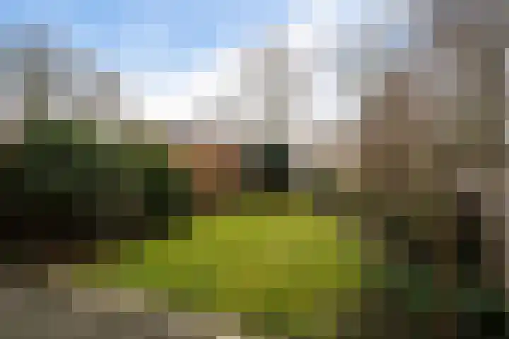Hildebrandhove 52 Zoetermeer thumbnail 4