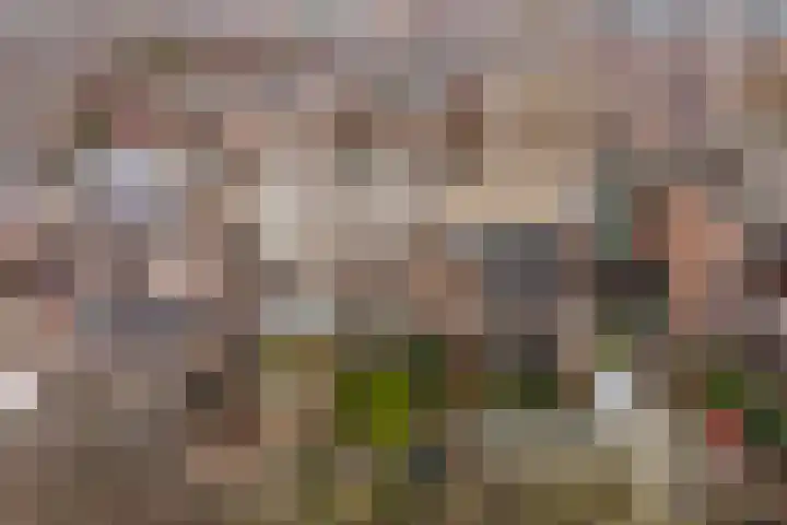 Hildebrandhove 52 Zoetermeer thumbnail 40