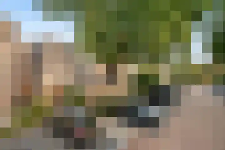 Hildebrandhove 70 in Zoetermeer