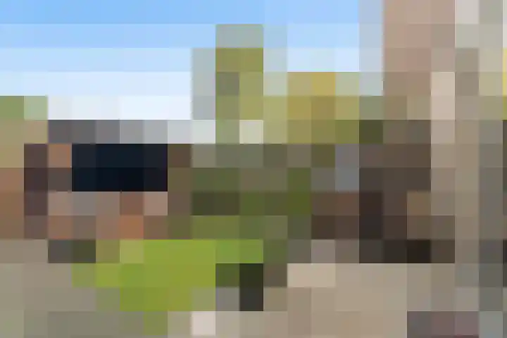Hildebrandhove 70 Zoetermeer thumbnail 21