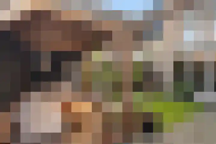 Hildebrandhove 70 Zoetermeer thumbnail 23