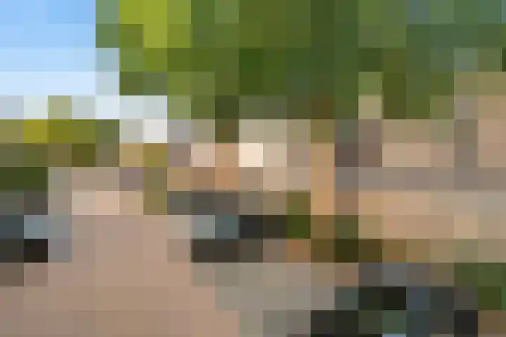 Hildebrandhove 70 Zoetermeer thumbnail 49
