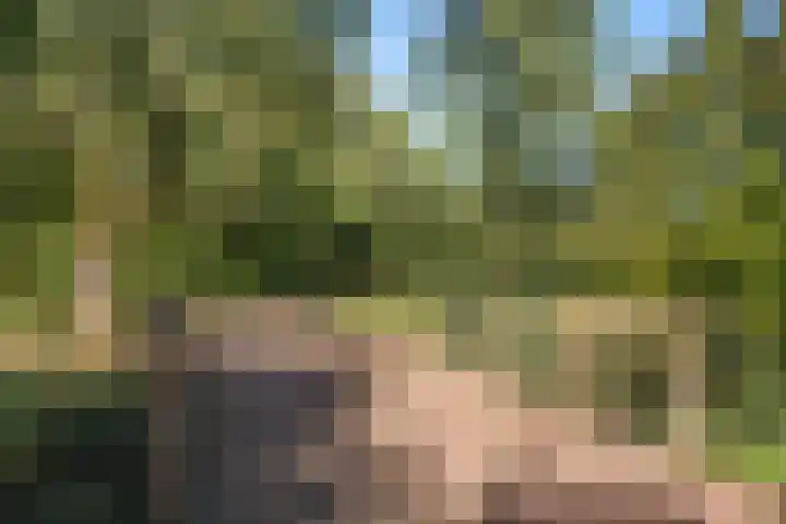 Hildebrandhove 70 Zoetermeer thumbnail 50