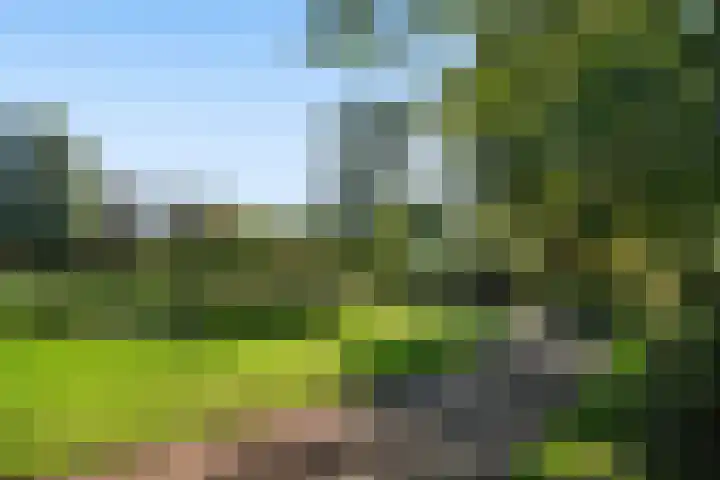 Hildebrandhove 70 Zoetermeer thumbnail 51