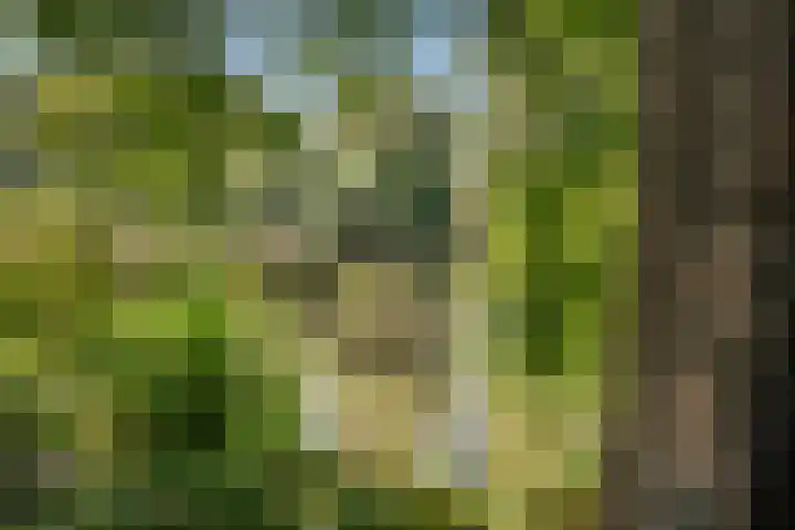 Hildebrandhove 70 Zoetermeer thumbnail 52
