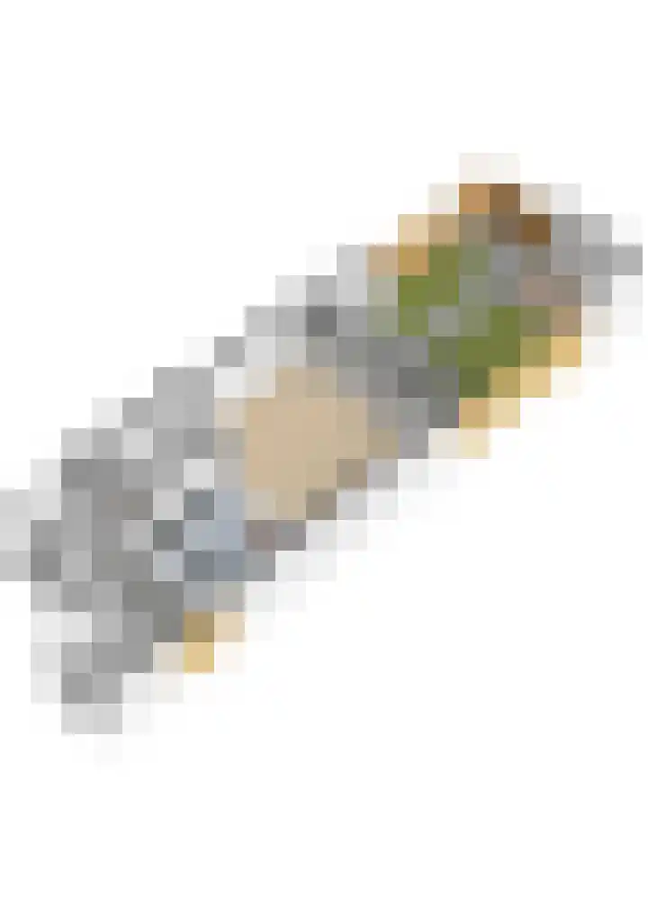 Hildebrandhove 70 Zoetermeer thumbnail 61