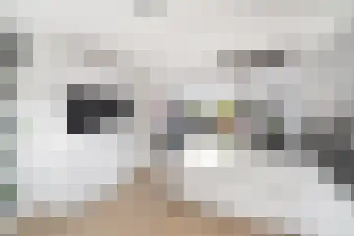 Hildebrandhove 70 Zoetermeer thumbnail 8