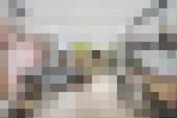Hildebrandhove 70 Zoetermeer thumbnail 9
