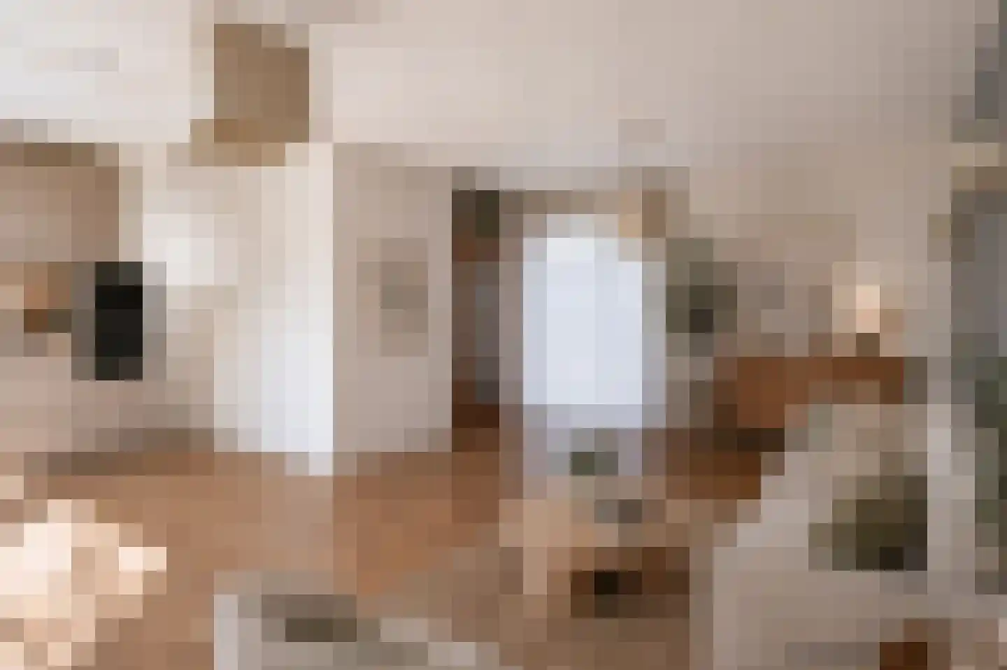 Hildebrandhove 71 Zoetermeer thumbnail 8