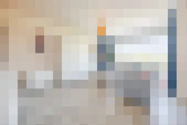 Hildebrandlaan 100 Oosterhout thumbnail 11