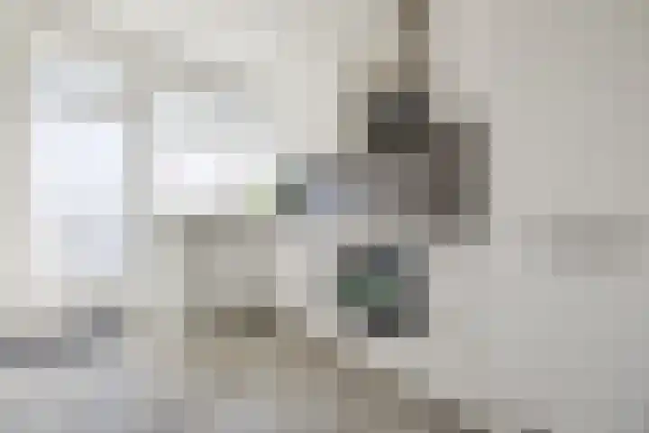 Hildebrandlaan 100 Oosterhout thumbnail 14