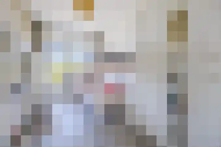 Hildebrandlaan 100 Oosterhout thumbnail 20