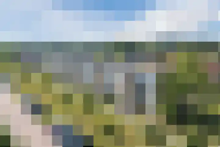 Hildebrandlaan 100 Oosterhout thumbnail 4