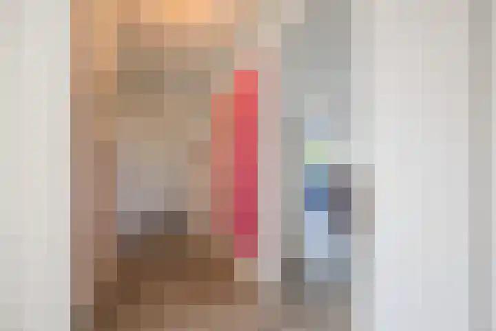 Hildebrandlaan 100 Oosterhout thumbnail 5