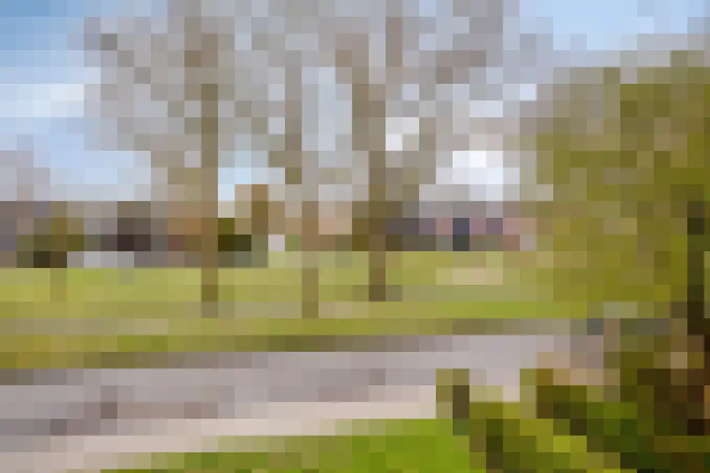 Hildebrandlaan 11 Haren Gn thumbnail 16