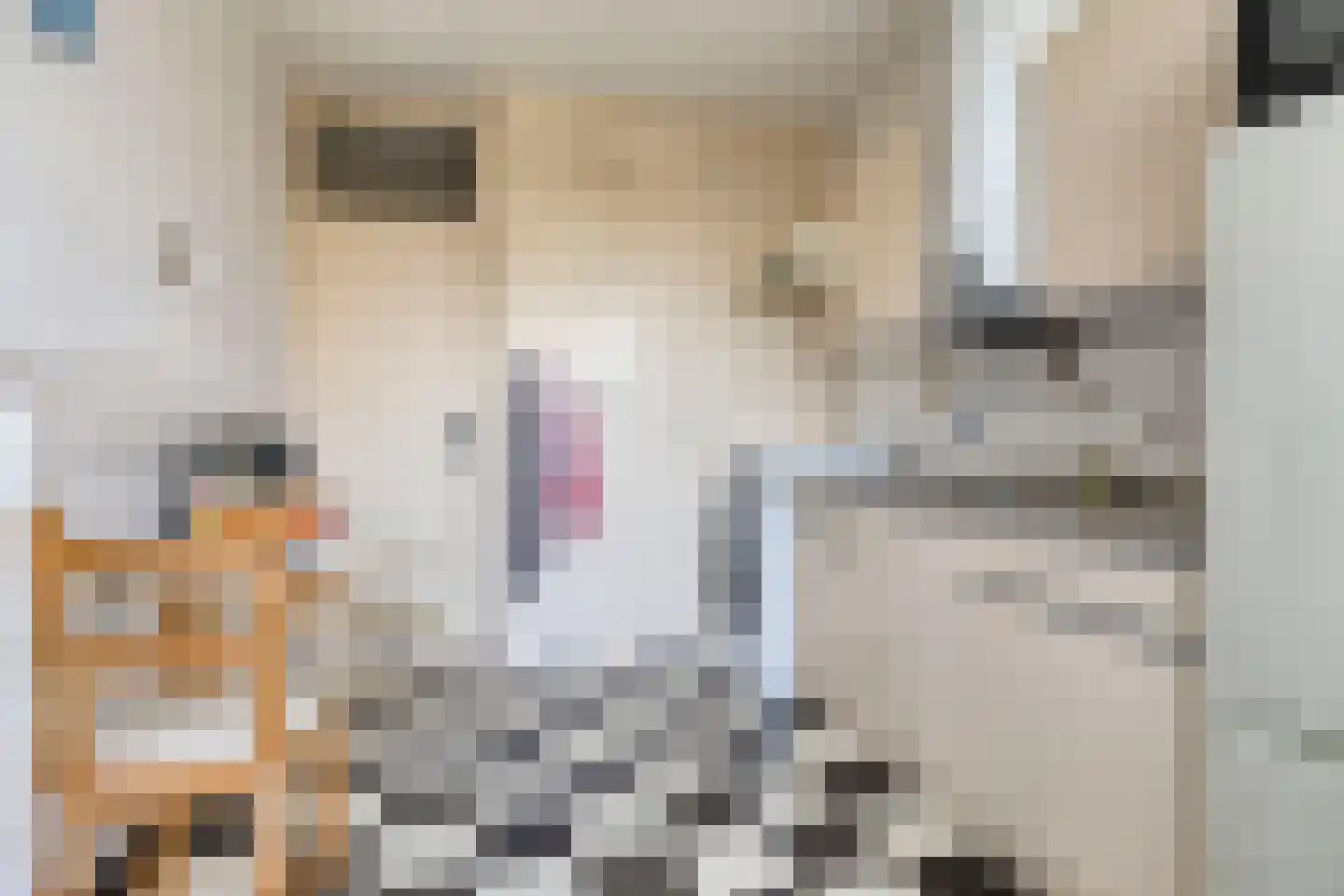 Hildebrandlaan 122 Oosterhout thumbnail 10