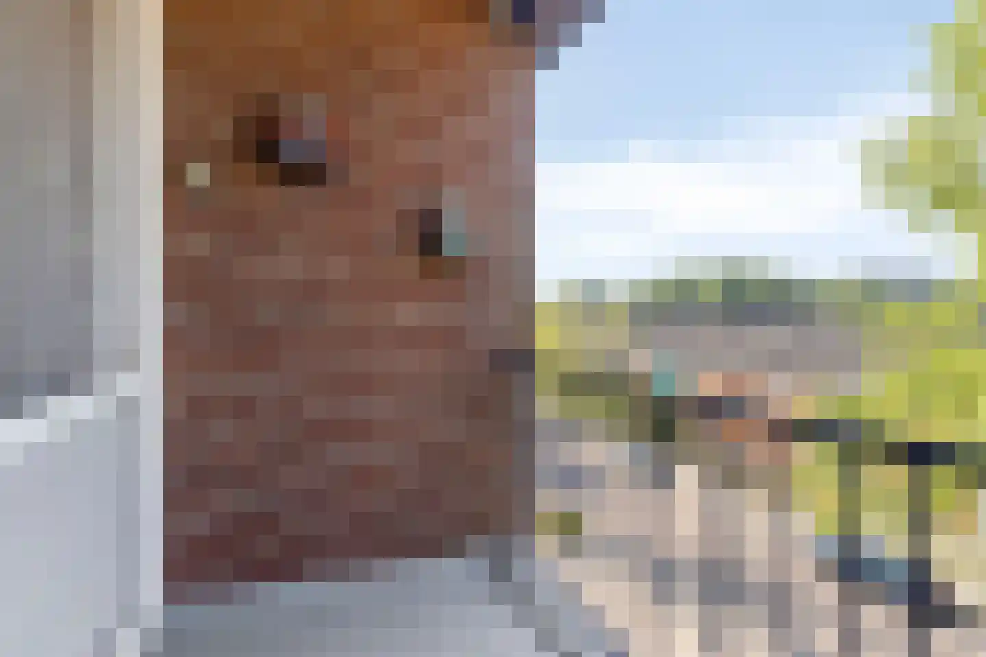 Hildebrandlaan 122 Oosterhout thumbnail 7