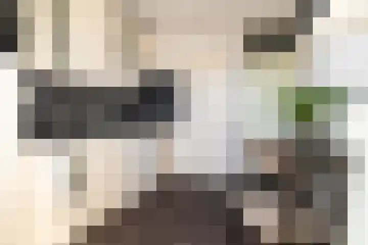 Hildebrandlaan 124 Oosterhout thumbnail 11