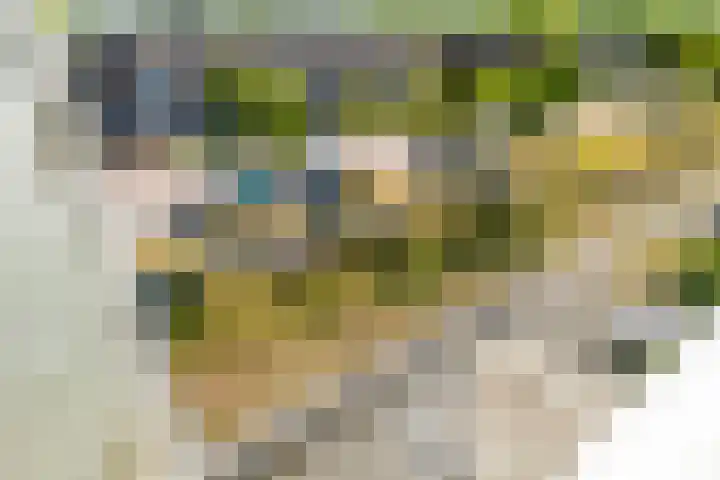 Hildebrandlaan 124 Oosterhout thumbnail 12