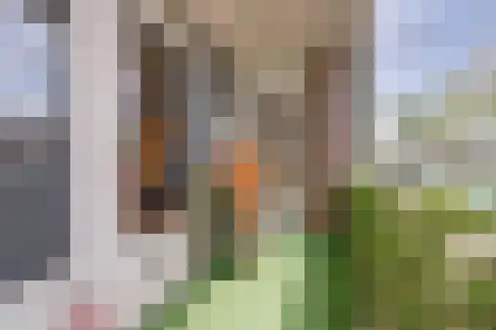 Hildebrandlaan 128 Oosterhout thumbnail 26
