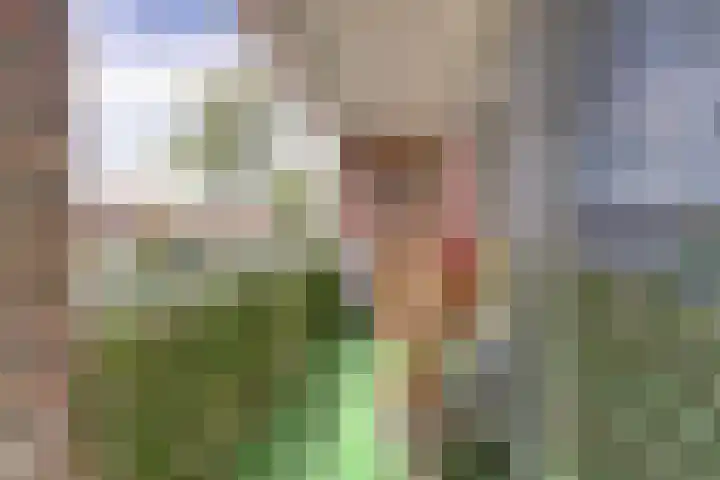 Hildebrandlaan 128 Oosterhout thumbnail 27