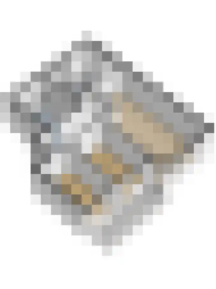 Hildebrandlaan 128 Oosterhout thumbnail 38