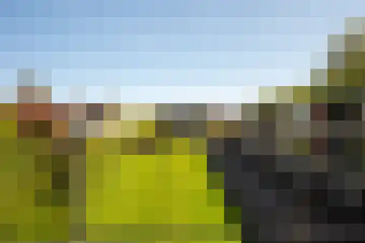 Hildebrandlaan 13 a Haren Gn thumbnail 12