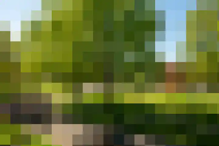 Hildebrandlaan 13 a Haren Gn thumbnail 18