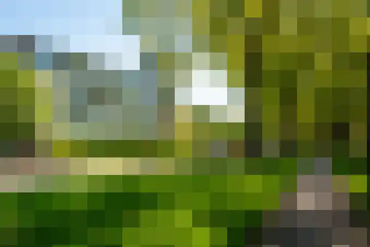 Hildebrandlaan 13 a Haren Gn thumbnail 25