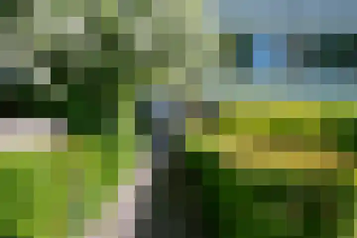 Hildebrandlaan 13 a Haren Gn thumbnail 5