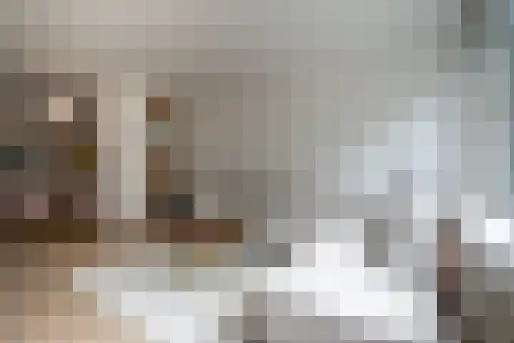 Hildebrandlaan 15 a Haren Gn thumbnail 14