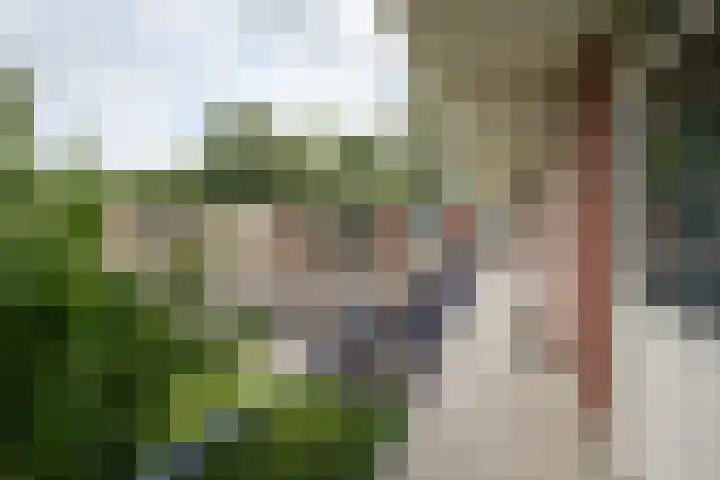 Hildebrandlaan 15 a Haren Gn thumbnail 27