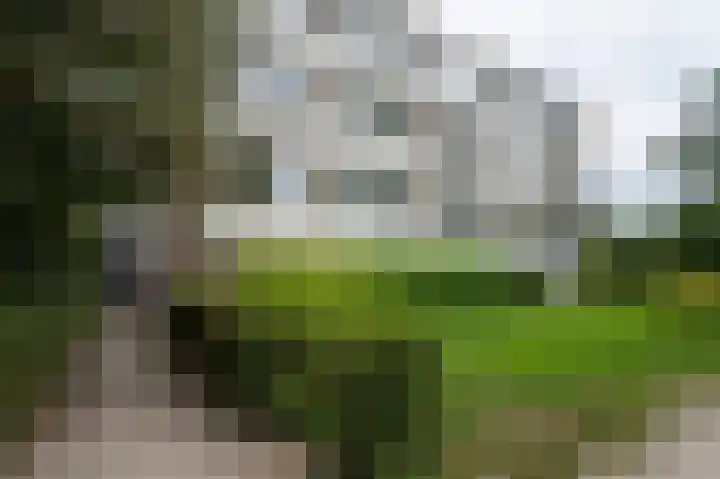 Hildebrandlaan 15 a Haren Gn thumbnail 5