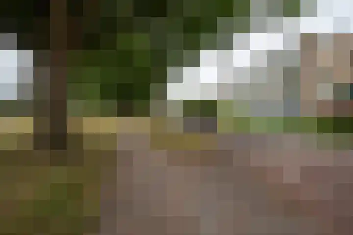 Hildebrandlaan 15 a Haren Gn thumbnail 7