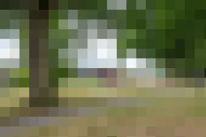 Hildebrandlaan 15 a Haren Gn thumbnail 8