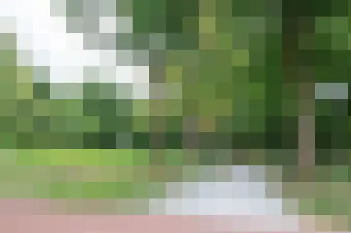 Hildebrandlaan 15 a Haren Gn thumbnail 9