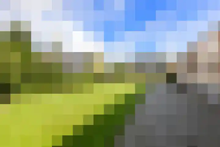 Hildebrandlaan 15 Haren Gn thumbnail 26
